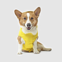 Load image into Gallery viewer, corgi-wears-torrential-tracker-yellow
