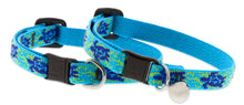 Load image into Gallery viewer, turtle-reef-adjustable-dog-collar
