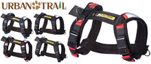 Load image into Gallery viewer, urban-trail-adjustable-harness-collection
