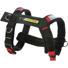 Load image into Gallery viewer, urban-trail-adjustable-harness
