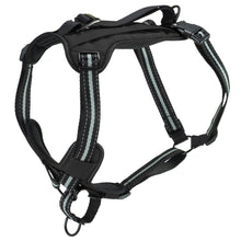 Load image into Gallery viewer, walk-along-outdoor-harness-black
