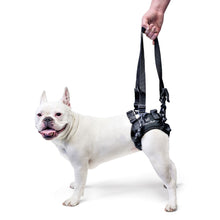 Cargar imagen en el visor de la galería, dog-uses-walkin-lift-rear-dog-harness

