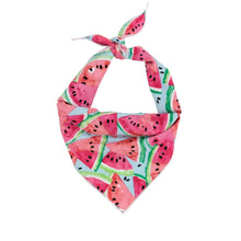 Load image into Gallery viewer, Watermelon Dog Bandana features cute little watermelon slices
