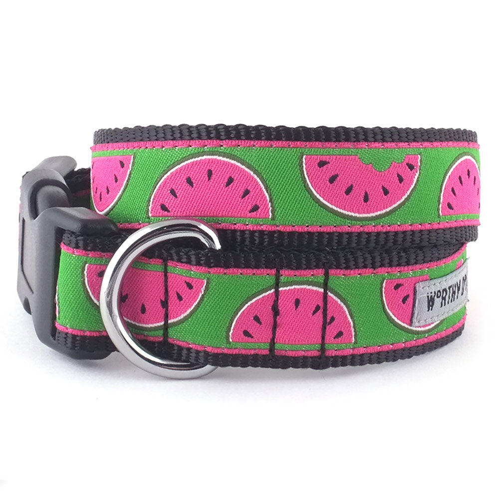 Watermelon Dog Collar with cute little slices of watermelon