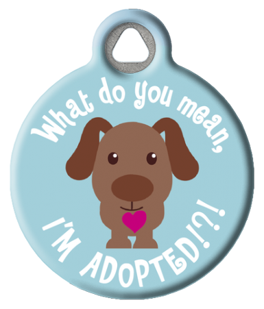 What Do You Mean, I'm Adopted!?! Dog ID Tag