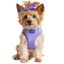 Load image into Gallery viewer, Yorkie Looks Super Cute in the Wrap and Snap Choke Free Dog Harness in Paisley Purple
