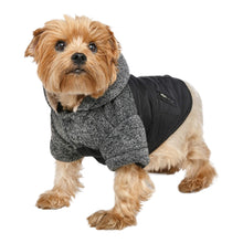 Cargar imagen en el visor de la galería, Yorkie models the stylish Cheviot Tweed Trimmed Dog Parka
