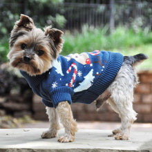 Load image into Gallery viewer, Yorkie Models Combed Cotton Ugly Reindeer Holiday Dog Sweater
