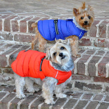 Load image into Gallery viewer, Yorkies Model Alpine Extreme Weather Puffer Dog Coat in Orange and Blue

