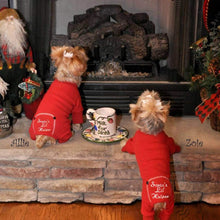 Load image into Gallery viewer, Yorkies Wear Santa&#39;s Lil Helper Dog Pajamas in Front of the Fire Place
