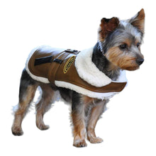 Cargar imagen en el visor de la galería, Yorkshire Terrier models Brown and Black Faux Leather Bomber Dog Harness Coat with Leash
