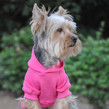 Cargar imagen en el visor de la galería, yorkshire-terrier-wears-flex-fit-hoodie-in-pink
